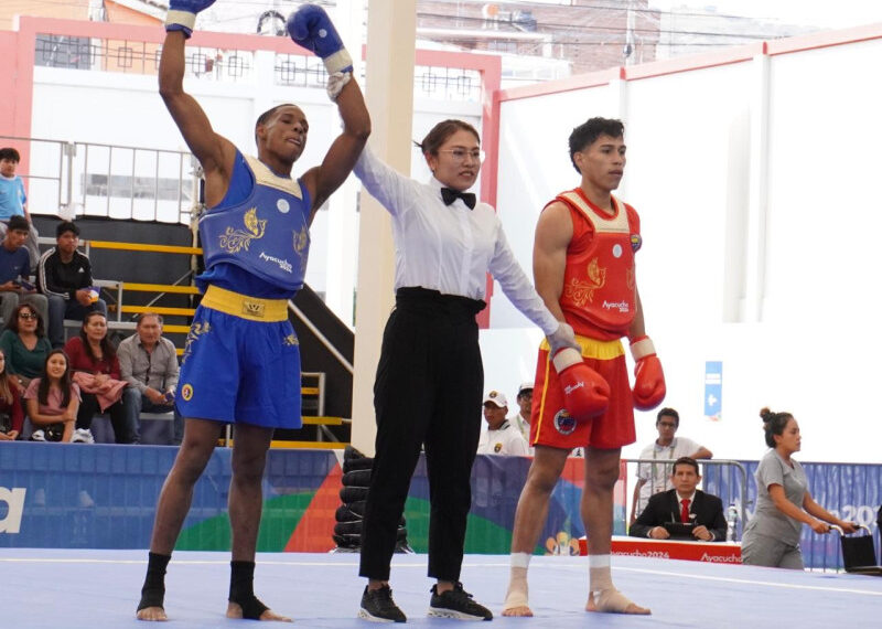 Wushu dominicano logra oro, plata…